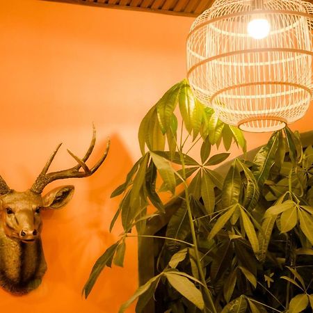 Steed Hotel ดาลัด ภายนอก รูปภาพ